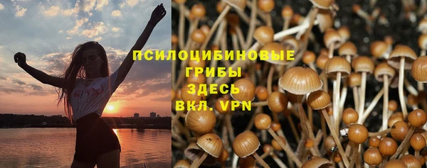 ГАЛЛЮЦИНОГЕННЫЕ ГРИБЫ Абинск
