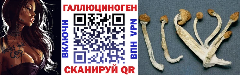 Псилоцибиновые грибы Magic Shrooms  наркошоп  Орск 