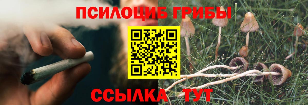 Орск  где продают   Галлюциногенные грибы Cubensis  Вход с VPN  Галлюциногенные грибы Cubensis 