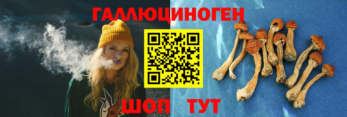 Псилоцибиновые грибы Magic Shrooms Орск